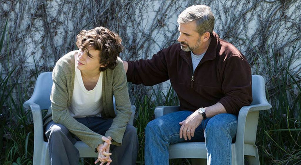Beautiful Boy (2018)&nbsp;Review