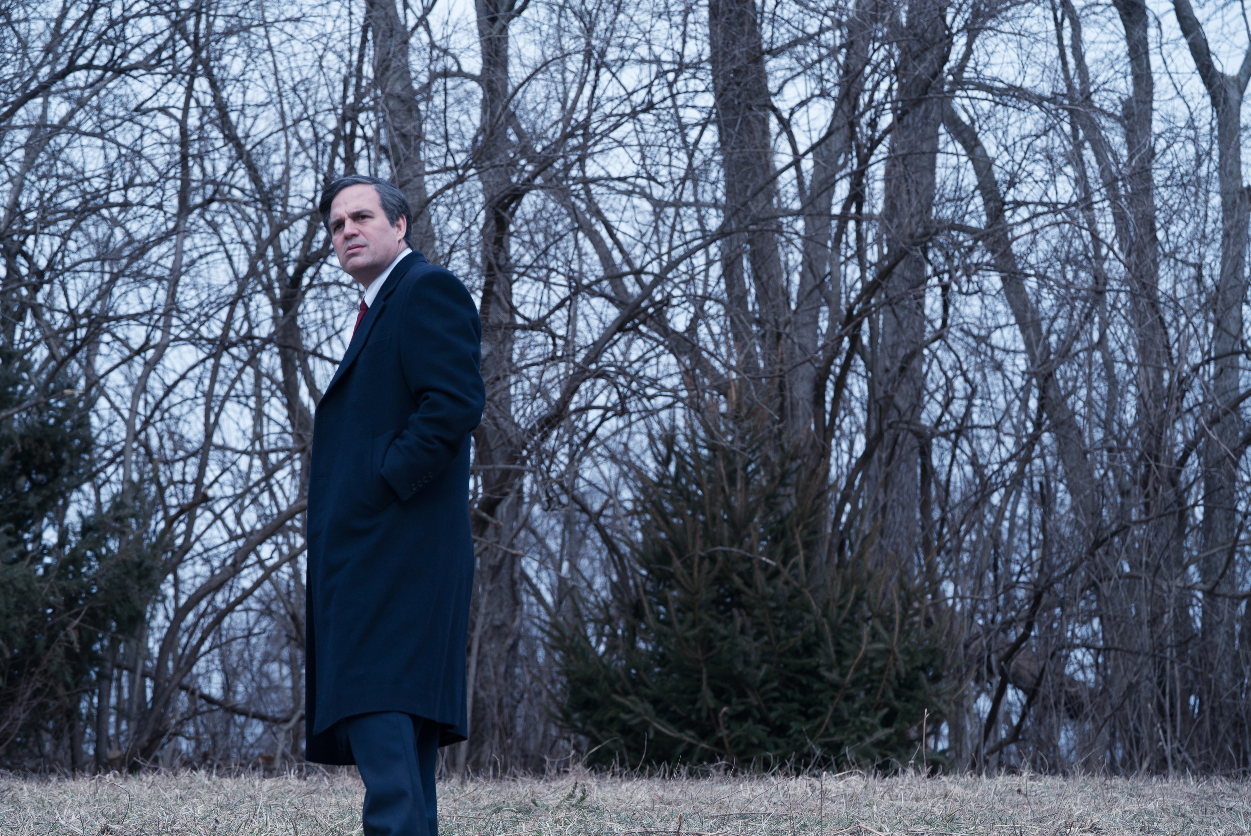 Dark-Waters-Todd-Haynes-and-Ed-Lachmans-masterful-nightmare[1]