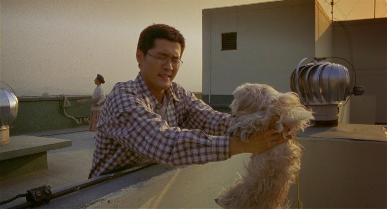 barking-dogs-never-bite[1]