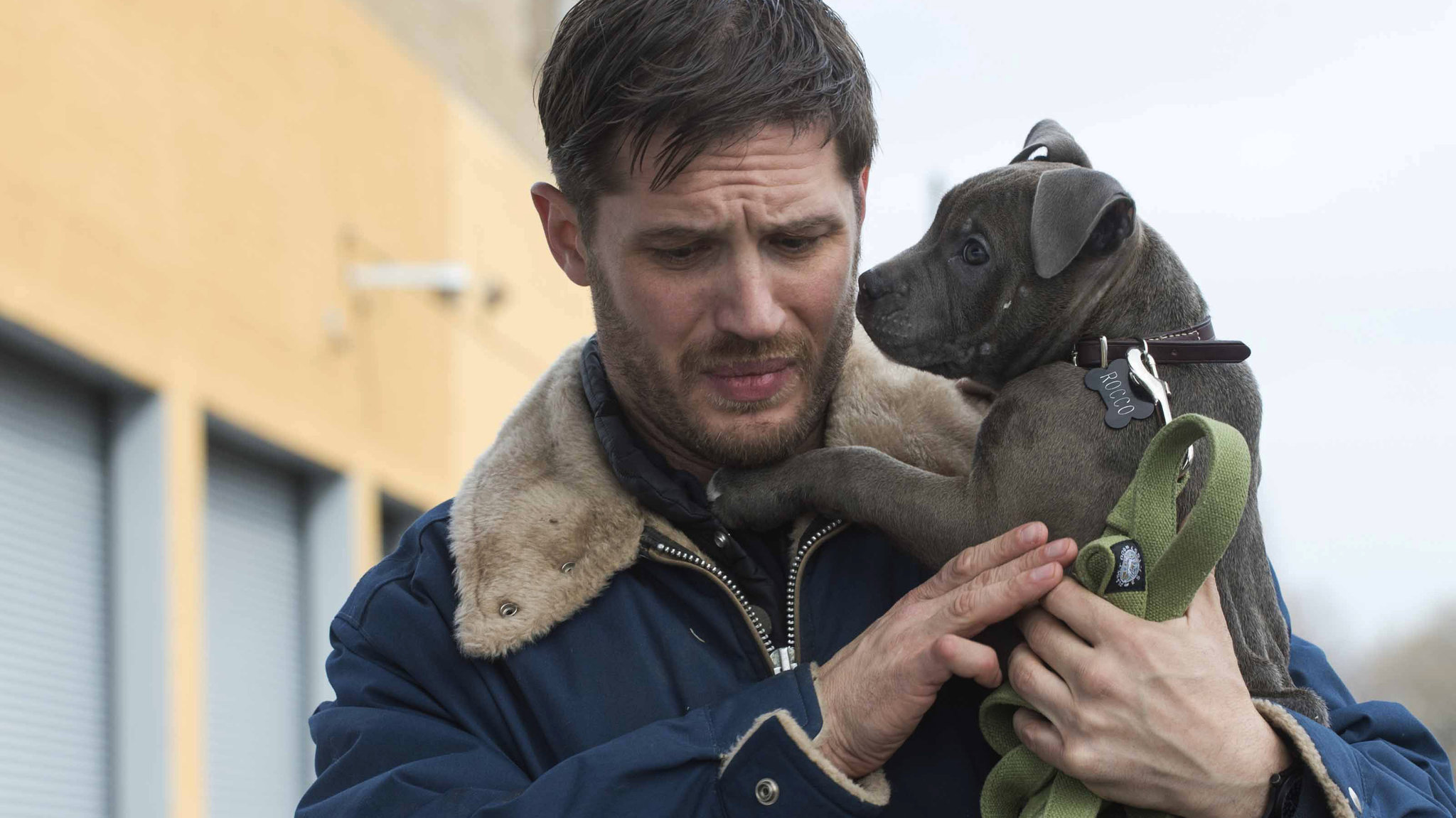 drop-anatomy2-superJumbo[1]