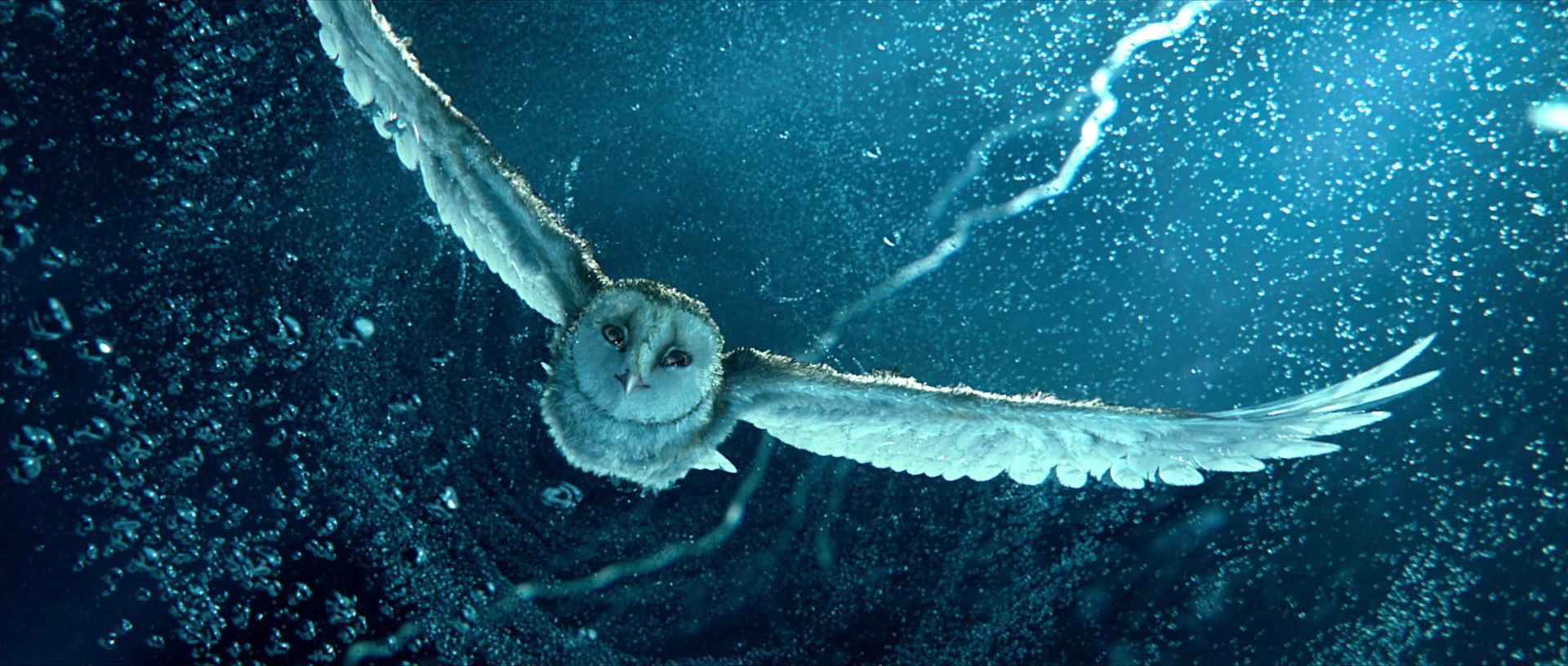 4b065bc0ee36d3e4a6545cd253a5105d[1]