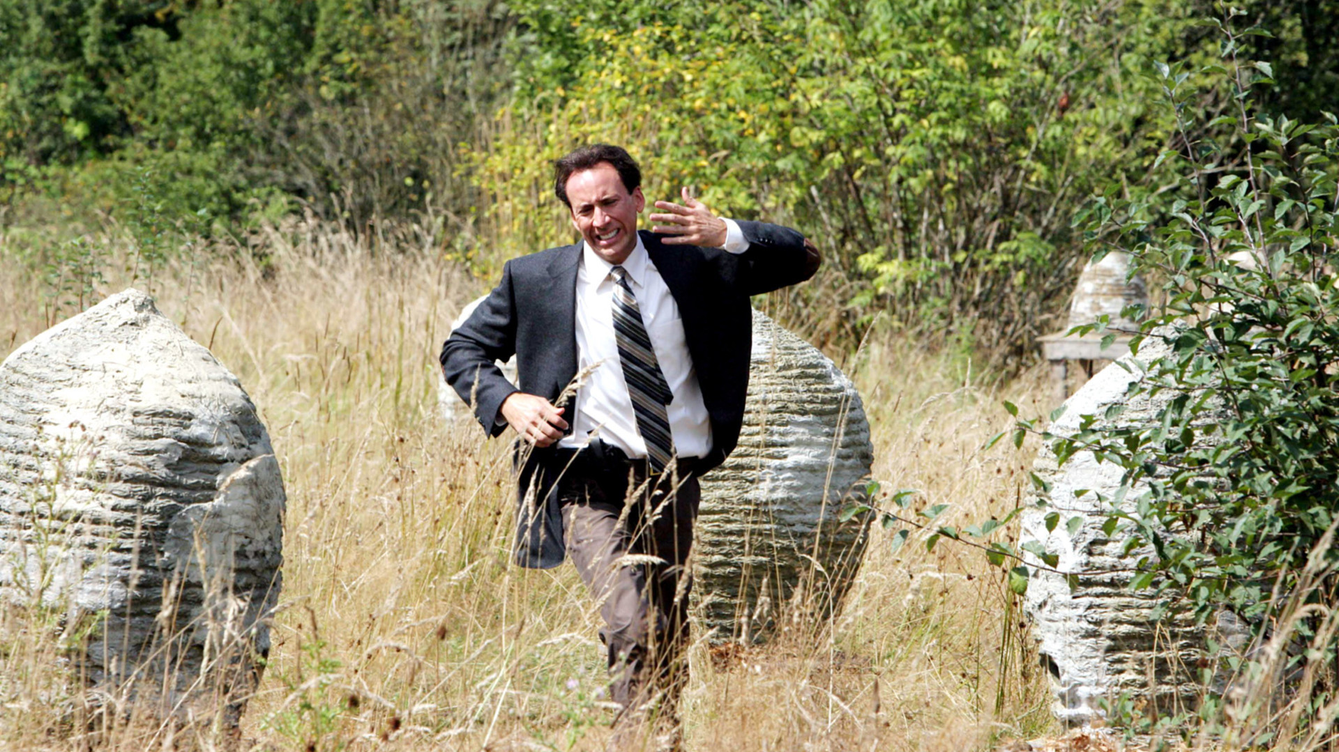 The-Wicker-Man-Nic-Cage-Bees[1]