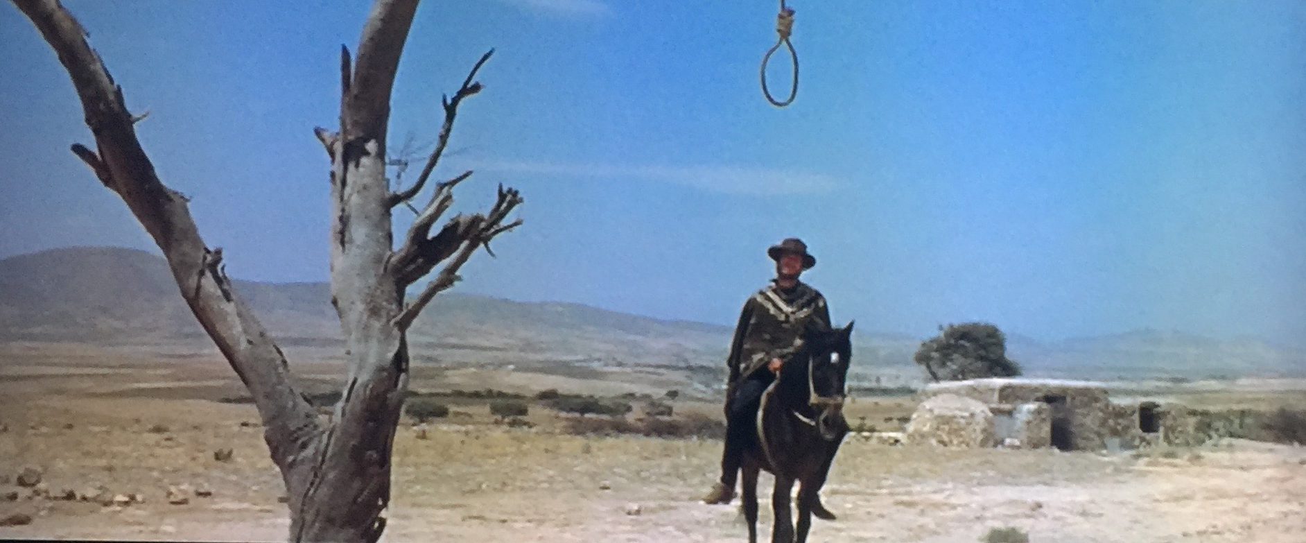 IMG_1916-e1479396879393[1]