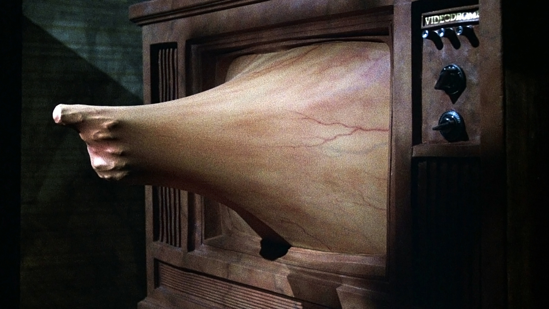 videodrome_-_3