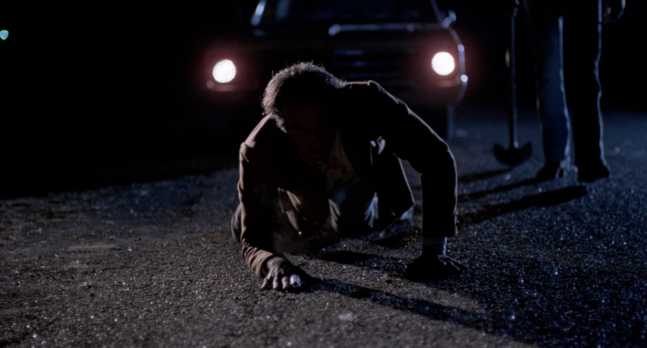 tumblr_489599381203e0ee1333ac218b8fc518_fb743cb8_1280