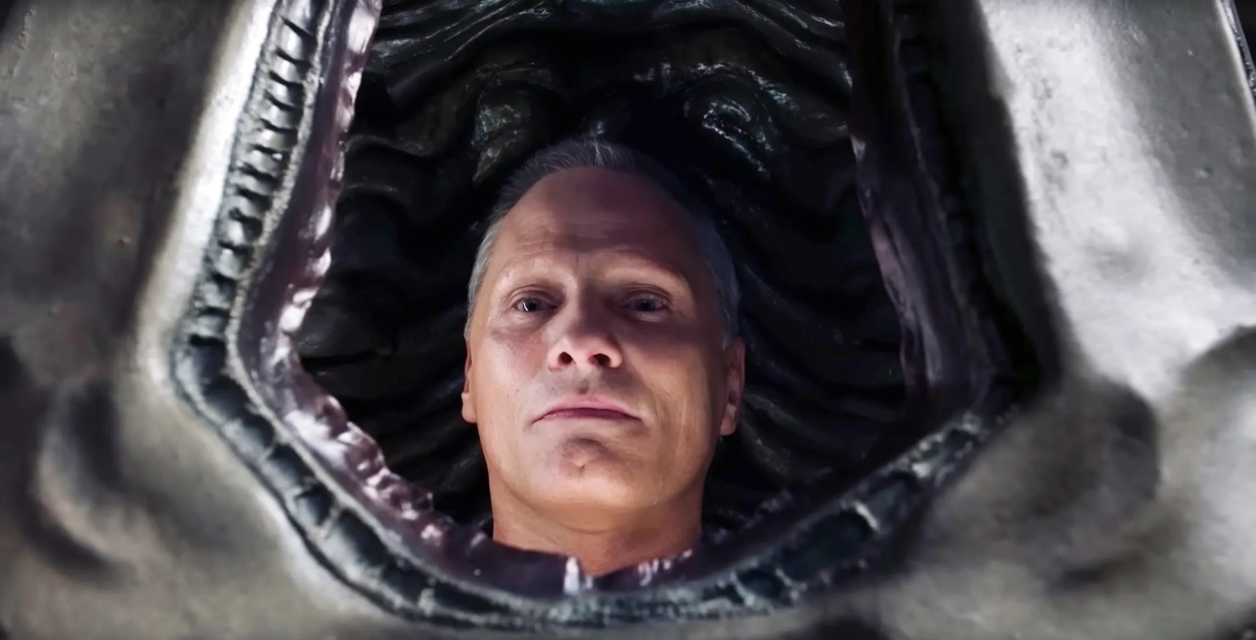 brody-crimes-of-the-future